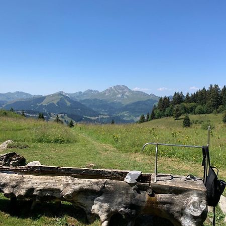 Chalet Yuki Morzine Luaran gambar